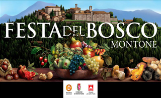 Festa del Bosco, Montone 1-4 novembre 2018