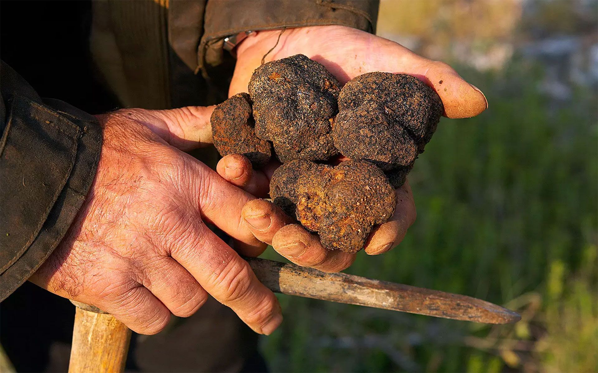 Tartufi in Umbria: il viaggio esperienziale alla ricerca del tartufo culmina al boutique hotel Locanda del Capitano di Montone con lo chef Giancarlo Polito