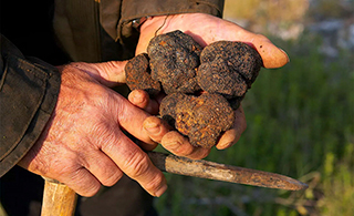 Tartufi in Umbria: il viaggio esperienziale alla ricerca del tartufo culmina al boutique hotel Locanda del Capitano di Montone con lo chef Giancarlo Polito