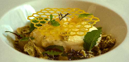 Tasting menu, appetizers, first courses, second courses, and dessert menu. Locanda del Capitano Restaurant in Montone
