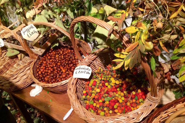 Jujube and arbutus Montone Wood Festival 2018. La Locanda del Capitano Boutique Hotel Restaurant Perugia, Umbria, Italy.