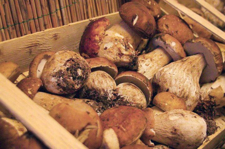 Porcini mushrooms Montone Wood Festival 2018, Perugia, Umbria, Italy. La Locanda del Capitano Restaurant Boutique Hotel